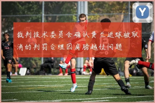 裁判技术委员会确认费兰进球被取消的判罚合理因肩膀越位问题
