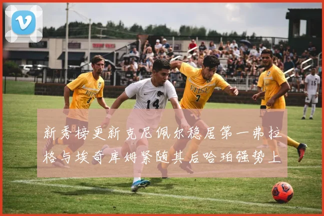 新秀榜更新克尼佩尔稳居第一弗拉格与埃奇库姆紧随其后哈珀强势上升至第四位