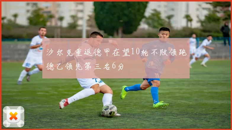 沙尔克重返德甲在望10轮不败领跑德乙领先第三名6分