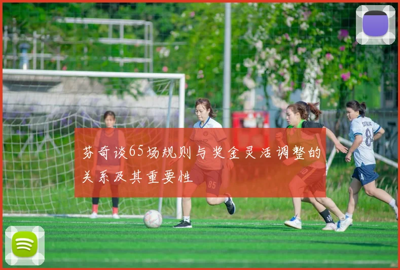 芬奇谈65场规则与奖金灵活调整的关系及其重要性