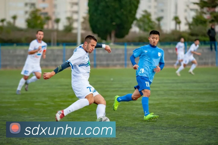 星空体育体育官方网站平台生态图