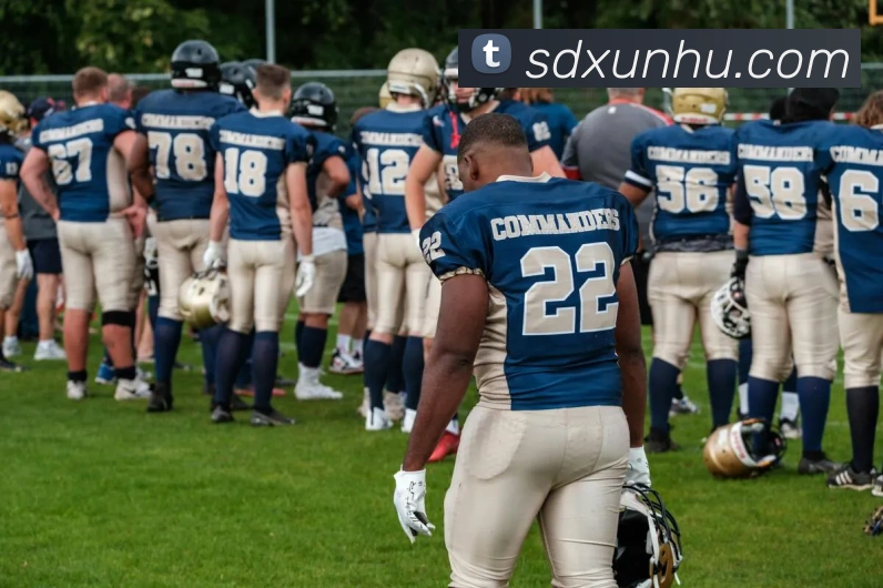 星空体育体育官方网站APP 封面图